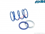 Arc de couple Evolution (+15%) - bleu - 243.102 - Polini