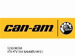 ATV-SSV БАНЕР MY20 - 323208280 - Can-AM