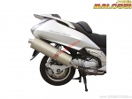 Auspuffanlage Maxi Wild Lion (3212283) - Honda Silver Wing 600i H2O 4T E2 '01-'10 (EU-Zulassung) - Malossi