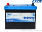 Batterie DUAL 12V 80Ah - Exide