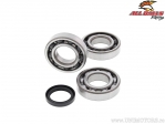 Bearing / crankshaft oil seal set - Polaris ATP500 4x4 / Scrambler 500 4x4 / Sportsman 500 X2 / Sportsman Touring 500 - All Ball