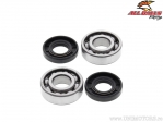 Bearing / crankshaft seals set - Cobra CM50 / KTM JR ADV50 / SX PRO JR50 / SX SR50 / SXR PRO SR50 - All Balls