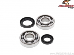 Bearing / crankshaft seals set - Honda CR125R ('80-'85) - All Balls