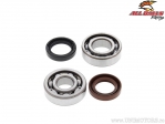 Bearing / crankshaft seals set - Yamaha CT175 / DT125 / IT175 / MX125 / MX175 / TY175 / YZ100 / YZ125 - All Balls