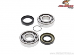 Bearing / oil seals crankshaft set - Yamaha DT400 / IT400 / IT425 / IT490 / MX400 / WR500 / YZ400 / YZ465 / YZ490 - All Balls