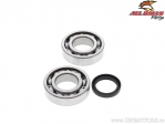 Bearing set / crankshaft oil seal - Kawasaki KX250F ('04-'22) / KX250X ('21-'22) / Suzuki RMZ250 ('04-'06) - All Balls