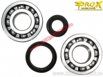 Bearing set / crankshaft oil seals - Suzuki RM 250 ('94-'95) - ProX