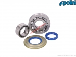 Bearing set / crankshaft seals (282.0007) - Polini