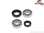 Bearing set / crankshaft seals - Kawasaki KDX50 / KFX50 / JR50 / LT-50 / LT-A50 - All Balls