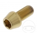 Bout ronde conische kop Pro Bolt M10 x 1.25 x 20 mm roestvrij staal A4 goud - JM