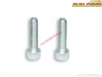 Bouten TCCE M6x25mm (2 stuks) - Malossi