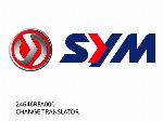 CHANGE TRANSLATOR - 24646RFA000 - SYM