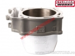 Cilinder - Suzuki LT-R 450 ('06-'09) 450cc 4T - (Cylinder Works)