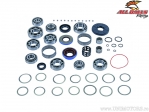 Complete differential repair kit - Polaris RZR 800 4 HO EFI 4WD - All Balls