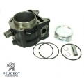 Conjunto cilindro motor D72.00 tornillo 15 - Aprilia Scarabeo / Malaguti Madison / Peugeot Geopolis / Piaggio Beverly 4T 250cc -