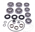 Conjunto de reparação do diferencial completo - Polaris Sportsman 500 6WD - All Balls