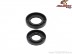 Conjunto de retentores de virabrequim - Kawasaki KDX250 ('80-'94) / KX250 ('80-'07) / KXT250 Tecate ('84-'87) - All Balls