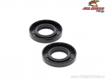 Conjunto de retentores do virabrequim - Kawasaki KDX80 / KX100 / KX125 / KX80 / KX85 / Suzuki RM100 / Yamaha YZ65 / YZ85 / YZ85L