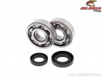 Conjunto de rodamientos y sellos de aceite para cigüeñal - Honda CR80 / CR85 - All Balls