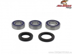 Conjunto de rolamentos e retentores da roda traseira - Gas Gas EC Ranger 300 / EC250 / MC250 / SM 250 / Rieju MR Racing 250 - Al