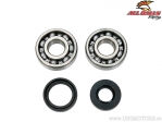 Conjunto de rolamentos e retentores de virabrequim - Kawasaki KX125 - All Balls