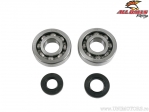 Conjunto de rolamentos e retentores do virabrequim - Kawasaki KX250 - All Balls