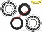 Conjunto de rolamentos / retentores do virabrequim - Yamaha YZ 465 ('80-'81) / YZ 490 ('82-'90) - ProX