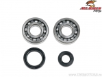 Crankshaft bearing and oil seals kit - Yamaha YZ250 2T - All Balls