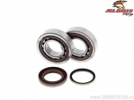 Crankshaft Bearing and Seal Kit - KTM EXC400 Racing / EXC-F250 / SX-F250 - All Balls