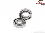 Crankshaft Bearing Set - Kawasaki KL250 Super Sherpa / KLX230 / KLX230 ABS / KLX250S / DR250S / DR350 / DR350SE - All Balls