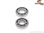 Crankshaft Bearing Set - Kawasaki KLX125 / KLX125L / Suzuki ALT-125 / LT-230G / LT-F160 / LT-F230 / LT-Z250 / SP200 - All Balls