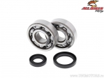 Crankshaft Bearings and Seals Kit - Suzuki RM125 - All Balls