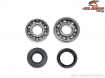 Crankshaft Bearings and Seals Set - Yamaha YZ80 / YZ85 - All Balls