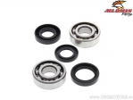 Crankshaft bearings / oil seals set - Yamaha DT50 / DT80 / GT80 / LB80 / MX80 / TY80 / YZ50 / YZ60 / YZ80 - All Balls