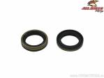 Crankshaft Seals Set - Beta EVO 2T 125 / EVO 2T 250 / EVO 2T 290 / EVO 2T 300 ('09-'21) / EVO 2T SS 300 ('18) - All Balls