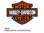 CSAVAR, HATÁSZEGLETŰ FEJ, RÖGZÍTŐLEMEZES, M6X20 - 1009M - Harley-Davidson