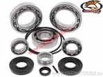 Cuscinetti differenziale posteriore - Kawasaki TERYX 750 4X4 ('08-'13) - All Balls