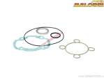 Cylinder gasket set (diameter 40-47mm / 119842) - Malossi