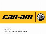 DECALCOMANIA SEADOO, SCHIUMA DI MARE-P - 0216731 - Can-AM