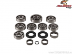 Differential Repair Kit - Polaris Magnum 325 2x4 ('00-'02) - All Balls