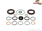 Differential Seal Kit - Can-Am Outlander 1000DPS / Outlander Max 1000XTP / Renegade 850 / Renegade XMR570 EFI - All Balls