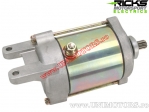 Elektromotor - Bombardier DS 250 / Can-AM DS 250 ('06-'14) - (Rick's)