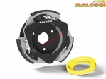 Embrague ajustable Maxi Delta (diámetro 135mm / 5217040) - Honda Forza 125i H2O 4T E3 ('15-'16) - Malossi