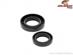 Ensemble de Joints d'Huile de Vilebrequin - Honda CR80R ('85-'02) / CR80RB ('96-'02) / CR85R / CR85RB ('03-'07) - All Balls