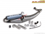 Exhaust system Flip (3217170) - homologated - Kymco Agility R12 Basic 50 Air 2T E2 ('07-'08) - Malossi