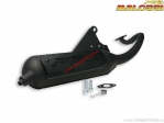 Exhaust system Wild Lion (3216578) - PGO Big Max 50 AIR 2T (