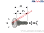 Fairing Screws Set - Gilera / Piaggio (10 pcs.) - (RMS)