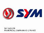 FRAME RECALL CAMPAIGN AD12 FRANCE - 50100AD12FR - SYM