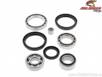 Front Differential Bearings - Arctic Cat 1000 Prowler / TRV / Cruiser / Cat 400 / 500 / 650 / 700 / Kymco MXU450i - All Balls