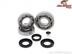 Front Differential Bearings - Polaris ATV 500 Pro ('02) / Magnum 325 4x4 HDS AA ('01) / PTV Series 10 4x4 ('03) - All Balls